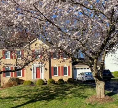 Main picture of 1413 Castle Cliff Pl