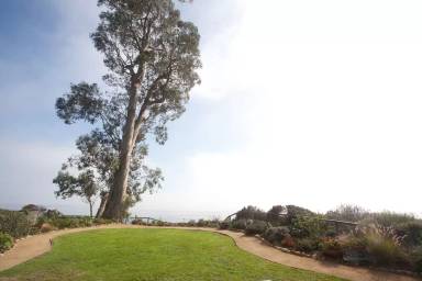 Main picture of Medcliff Rd