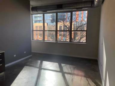 Main picture of 1313 W Randolph St