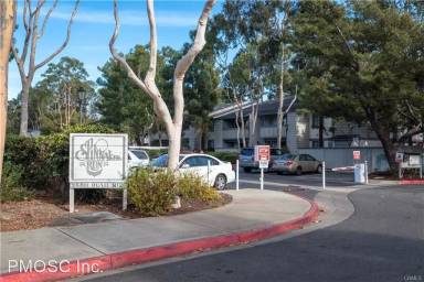 Main picture of Spinnaker Run