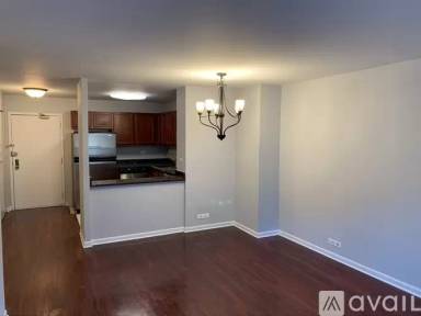 Main picture of 222 E Pearson Condominiums