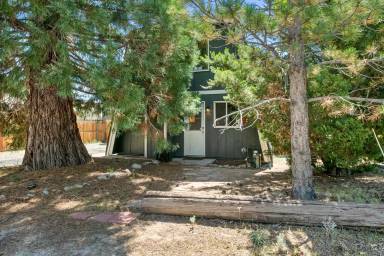 Main picture of 236 E Cinderella Dr