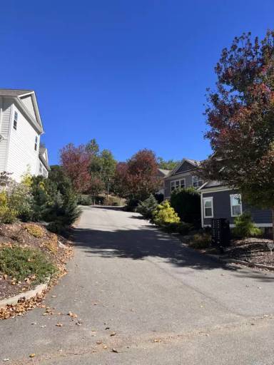 Main picture of 21 Plant Pl