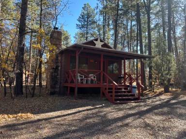 Main picture of 237 E White Mtn Blvd