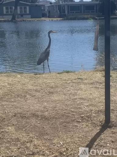 Main picture of Swan Lake Estates
