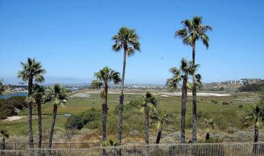Main picture of Laguna Del Rey Apartments