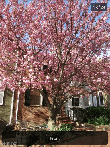 Main picture of 2433 I St NW
