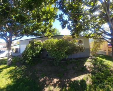 Main picture of 351 Ramona Dr