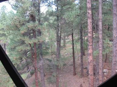 Main picture of 2791 Burro Springs Ovi