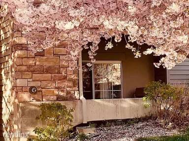Main picture of 1624 Westbury Way