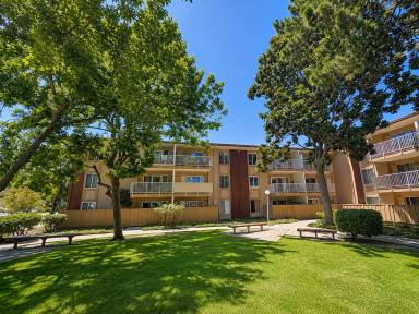 Main picture of 38500 Paseo Padre Pkwy