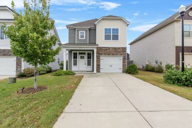 Main picture of 315 Olive Sugar Way