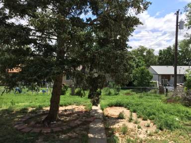Main picture of 811 Sequoia Dr