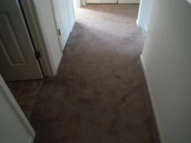 Main picture of 206 Vivian Ct