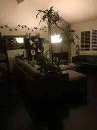 Main picture of 1229 Harrison Ct