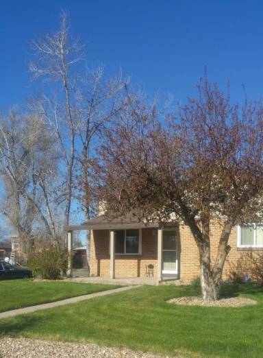 Main picture of 3021 Newport St