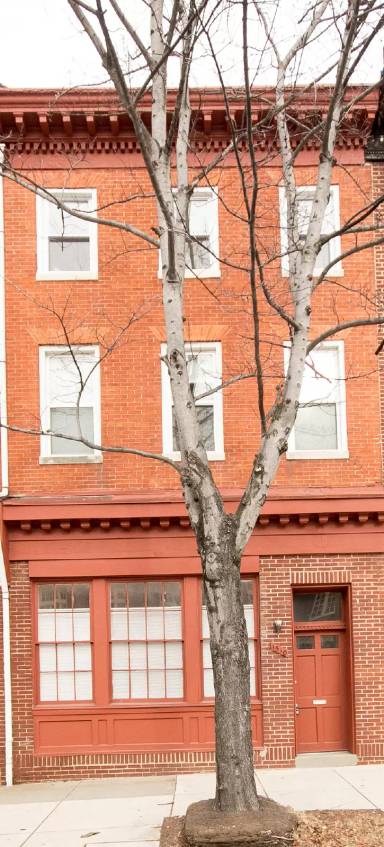 Main picture of 1510 E Baltimore St