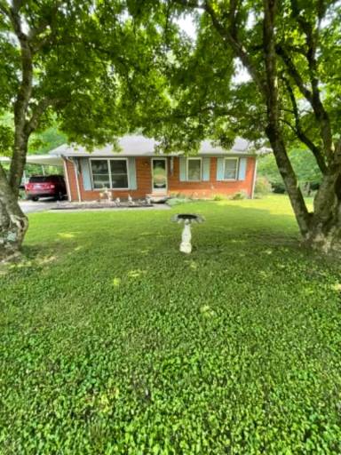 Main picture of 313 Handley Ave