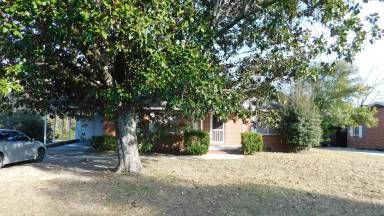 Main picture of 302 Gibson St
