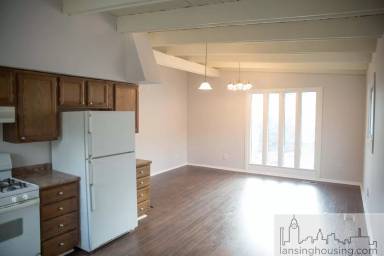 Main picture of 317 E Hillsdale St