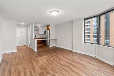 Main picture of 1215 S Michigan Ave