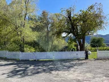 Main picture of 15 Buck Run Ln