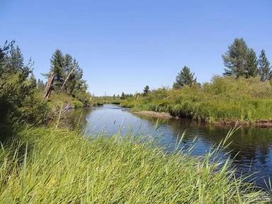 Main picture of 150337 Tigard St