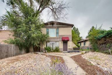 Main picture of 220 S Holly Street, Unit 4 - 4