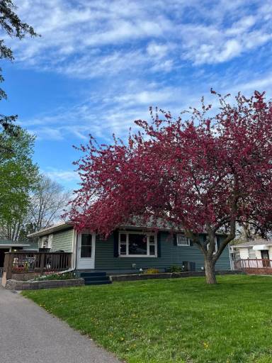 Main picture of 2063 Coral Ln