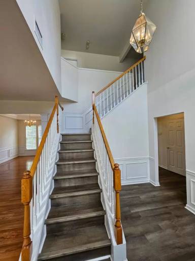 Main picture of 10312 Scotch Pine Cir