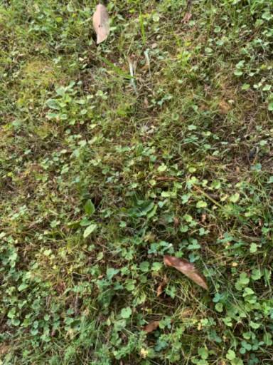 Main picture of 1858 Parnassus St