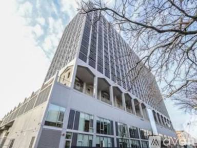 Main picture of The Montrose Apartments