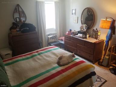 Main picture of 800 Centre St