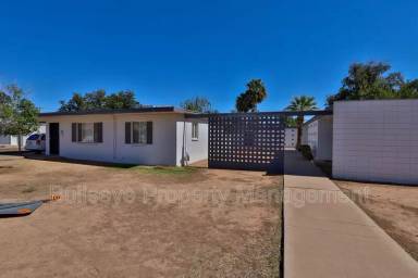 Main picture of 243 S Hobson