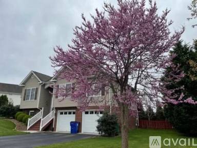 Main picture of 60 Alexander Ct