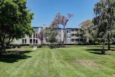 Main picture of 1081 Beach Park Blvd