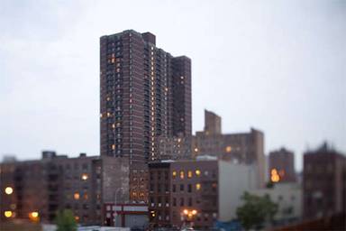 Main picture of The Miles