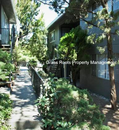 Main picture of 256 Racetrack St