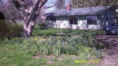 Main picture of 28807 Hurlburt Rd