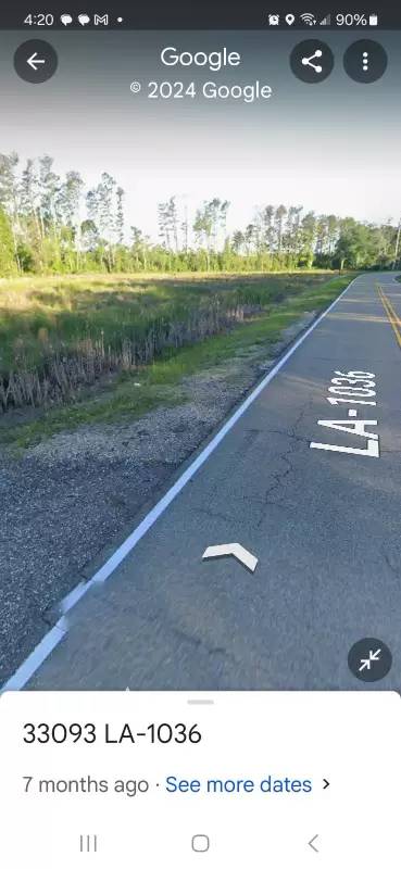 Main picture of 32477 La Highway 1036