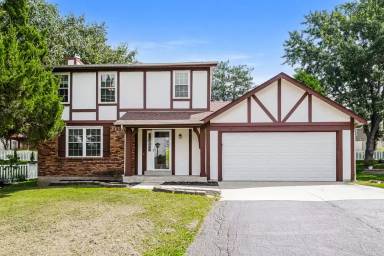 Main picture of 17 Hollow Tree Ct