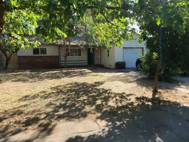 Main picture of 1126 Sheridan Ave