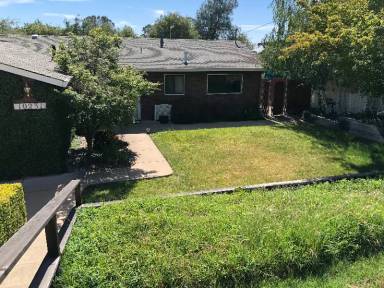 Main picture of 10231 Buena Vista Dr