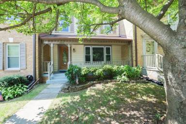 Main picture of 12493 Sweet Leaf Ter