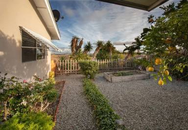 Main picture of 3709 Balboa Dr