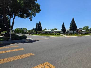 Main picture of 259 Pelican Pl