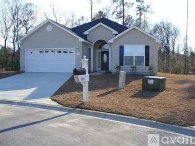Main picture of 305 Sea Turtle Dr