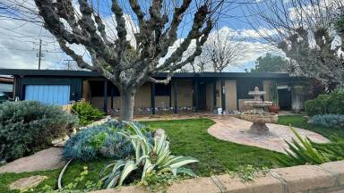 Main picture of 220 Rolando Ave