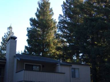Main picture of Avondale Apartments