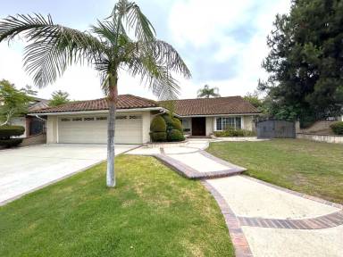 Main picture of 904 Sky Meadow Pl